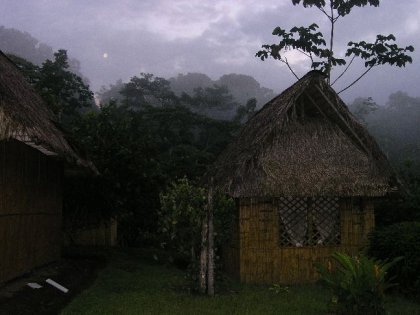 Yarina lodge - lige foer et regnskyl.