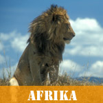 Se landeliste for 'Afrika'